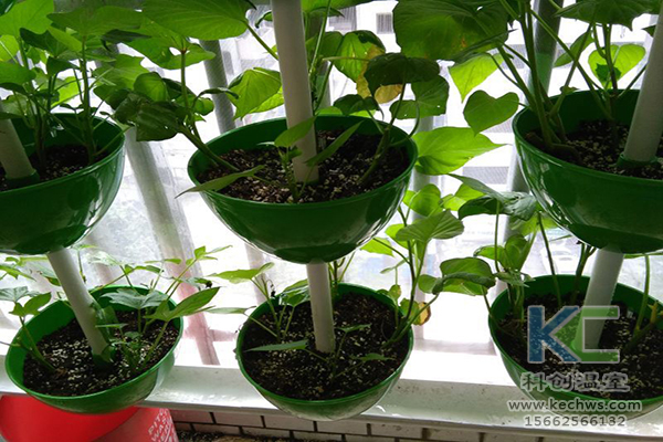 無土栽培，無土栽培技術(shù)，無土栽培設備