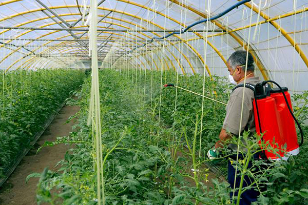 無土栽培，無土栽培技術(shù)，無土栽培設(shè)備