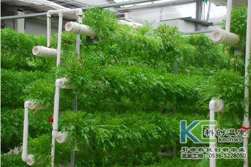 無土栽培，無土栽培技術，無土栽培設備