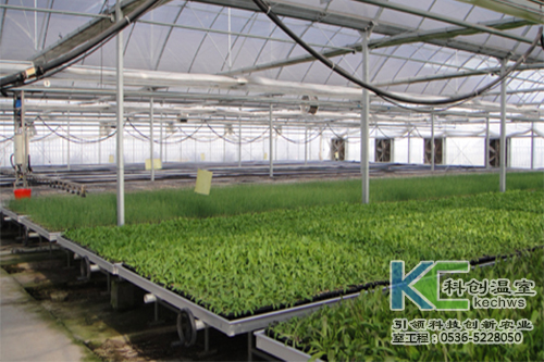 無土栽培，無土栽培技術，無土栽培設備