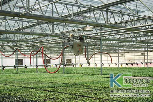 無土栽培，無土栽培技術，無土栽培設備