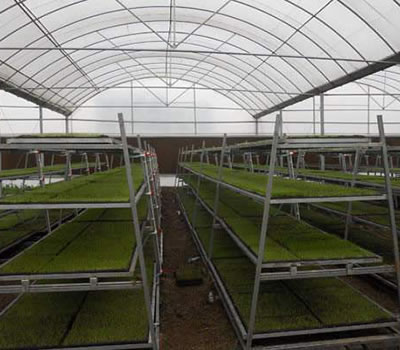 無(wú)土栽培，無(wú)土栽培技術(shù)，無(wú)土栽培設(shè)備