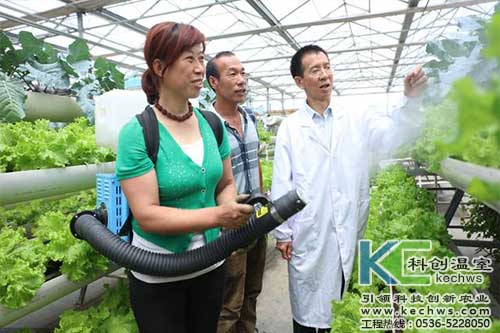 無土栽培，無土栽培技術(shù)，無土栽培設(shè)備