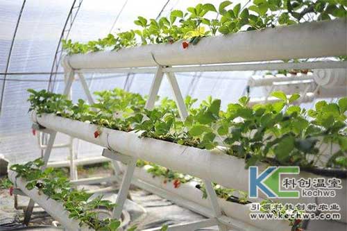無土栽培，無土栽培技術，無土栽培設備