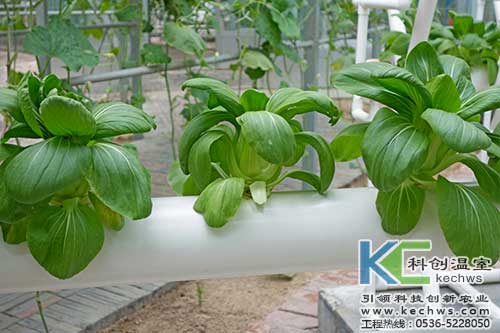 無土栽培，無土栽培技術，無土栽培設備