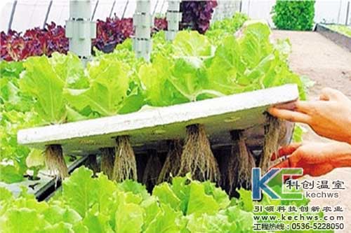 無土栽培，無土栽培技術，無土栽培設備