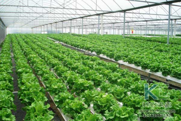 無土栽培，無土栽培技術