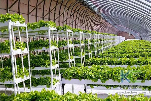 無土栽培，無土栽培技術，無土栽培設備