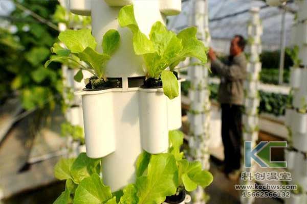 無土栽培，無土栽培技術，無土栽培設備
