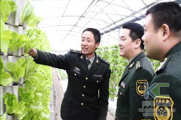 無土栽培，無土栽培技術