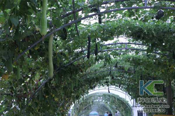 無土栽培，無土栽培技術，無土栽培設備