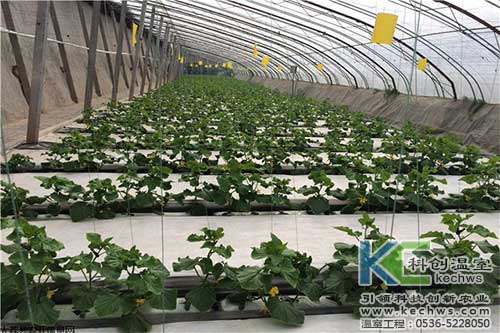 無土栽培，無土栽培技術(shù)，無土栽培設(shè)備