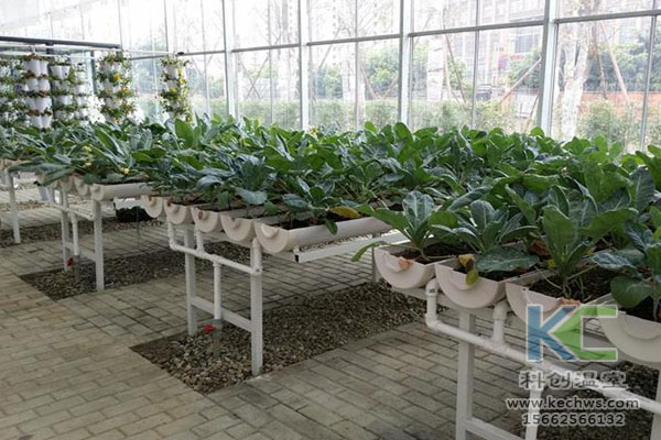 無土栽培,無土栽培技術,無土栽培設備