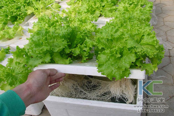 無土栽培技術，休閑農業，無土栽培，溫室大棚