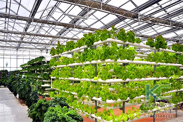 無土栽培，無土栽培技術，無土栽培設備