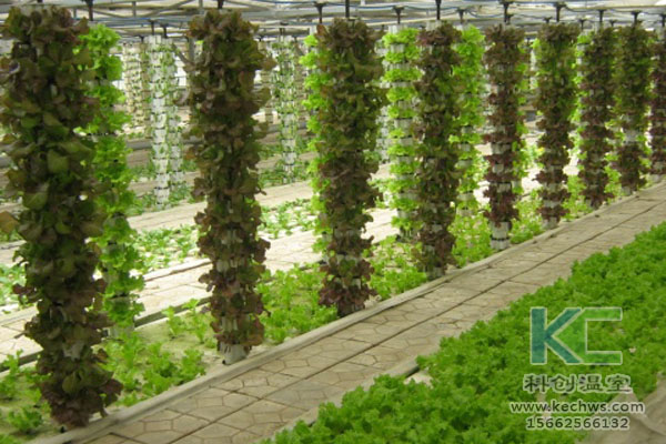 蔬菜大棚無土栽培,無土栽培技術,溫室大棚,大棚