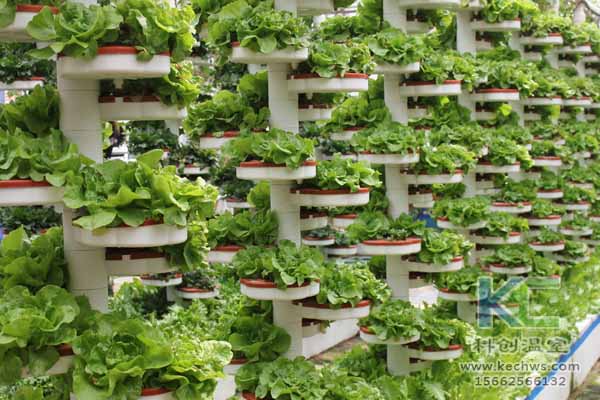 無土栽培，無土栽培技術，無土栽培設備