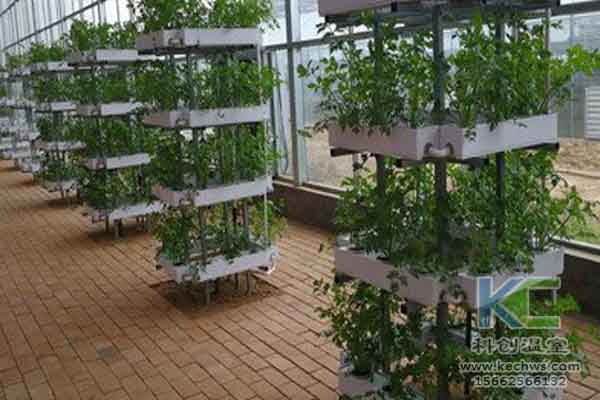 無土栽培技術，無土栽培，溫室大棚，基質栽培