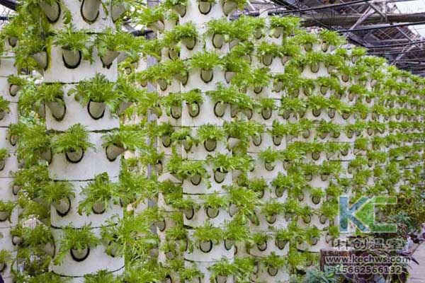 無土栽培，無土栽培技術(shù)，無土栽培設(shè)備，蔬菜栽培