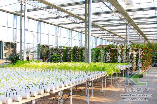 無土栽培，無土栽培技術，無土栽培設備，蔬菜栽培