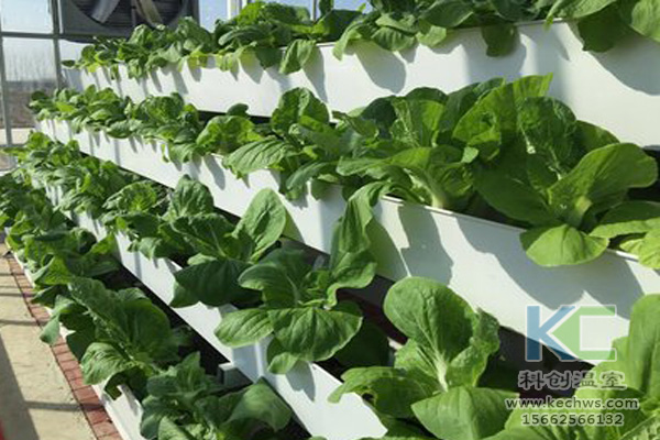 無土栽培技術(shù)，無土栽培設(shè)備，無土栽培，溫室大棚