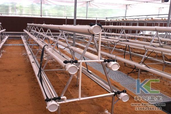 魚(yú)菜共生系統(tǒng)，無(wú)土栽培技術(shù)，無(wú)土栽培，溫室大棚