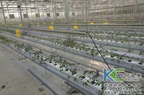 無土栽培,無土栽培技術,無土栽培設備