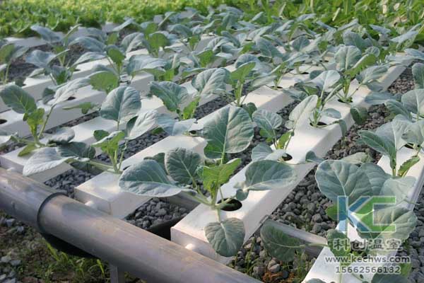 無土栽培，無土栽培技術，無土栽培設備