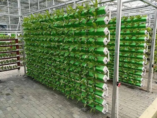 無土栽培，無土栽培技術(shù)，無土栽培設(shè)備