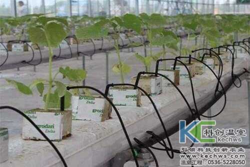 無土栽培，無土栽培技術，無土栽培設備