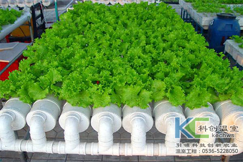 無土栽培，無土栽培技術，無土栽培設備