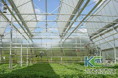 無土栽培，無土栽培技術，無土栽培設備