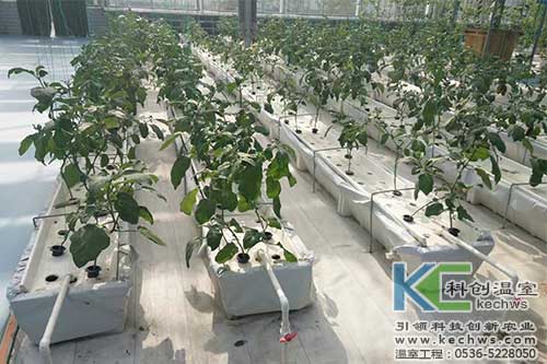 無土栽培,無土栽培技術(shù),無土栽培設(shè)備