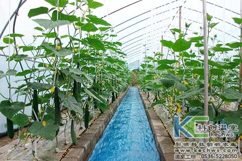 無土栽培,無土栽培技術,無土栽培設備