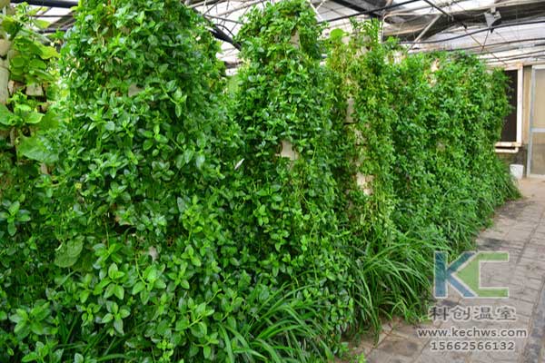 無土栽培，無土栽培技術，無土栽培設備