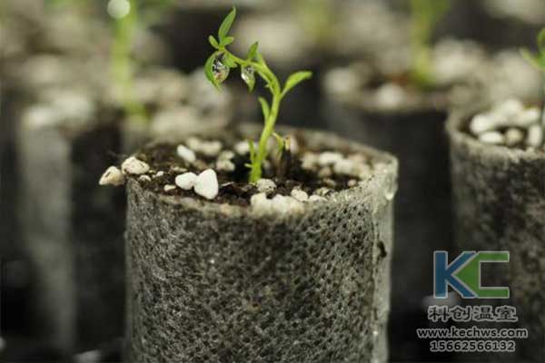 無土栽培，無土栽培技術(shù)，無土栽培設備