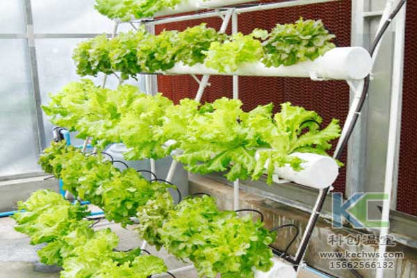 無土栽培,無土栽培技術,無土栽培設備