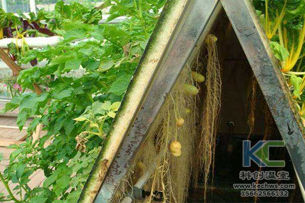 無土栽培，無土栽培技術(shù)，無土栽培設(shè)備