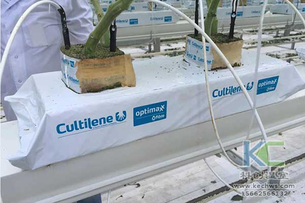 無土栽培，無土栽培技術，無土栽培設備