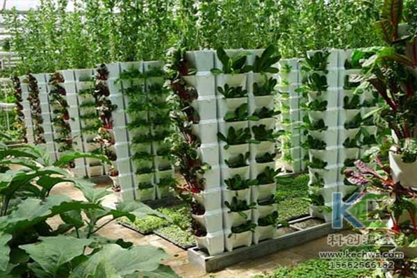 無土栽培，無土栽培技術，無土栽培設備