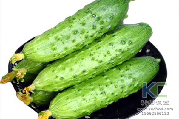 無土栽培，無土栽培技術(shù)，無土栽培設(shè)備