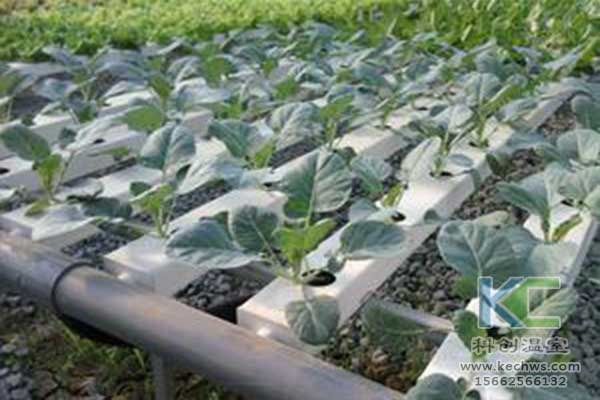 無土栽培，無土栽培技術