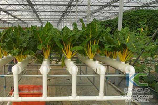 無土栽培，無土栽培技術