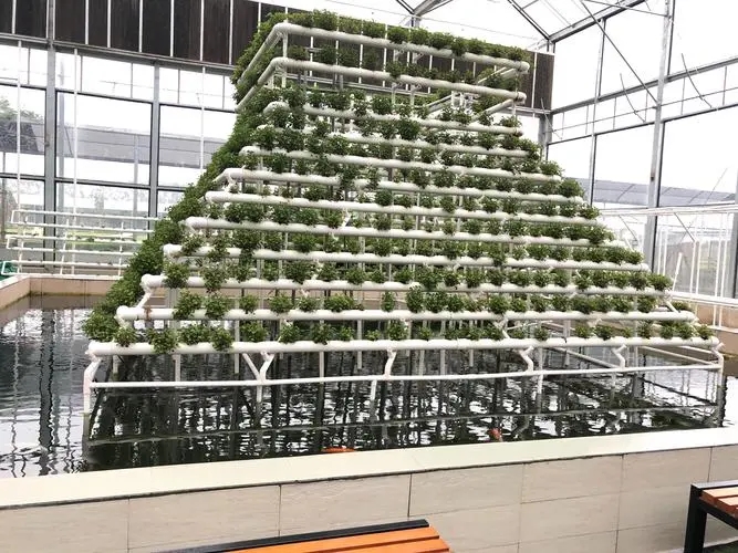 無土栽培，無土栽培技術(shù)，無土栽培設(shè)備