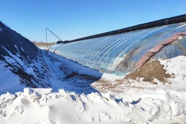 無土栽培，無土栽培技術(shù)，無土栽培設(shè)備