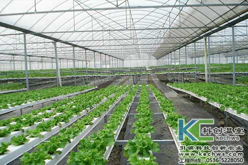 無土栽培，無土栽培技術，無土栽培設備