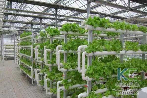 無土栽培，無土栽培技術，無土栽培設備
