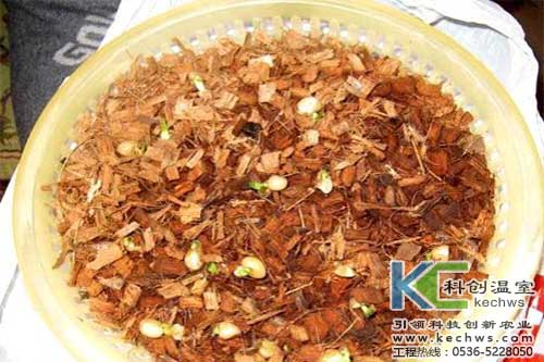 無土栽培，無土栽培技術，無土栽培基質