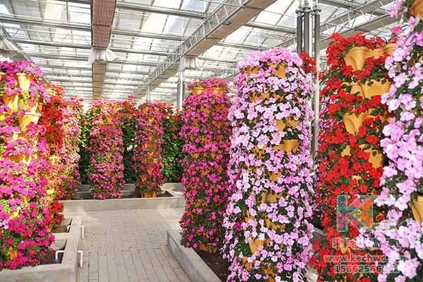 無土栽培，無土栽培技術，無土栽培設備