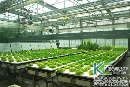 無土栽培，無土栽培技術，無土栽培設備